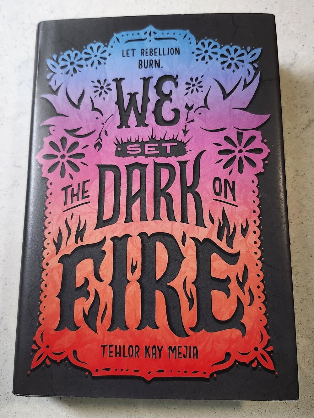 We Set the Dark on Fire by Tehlor Kay Mejia
